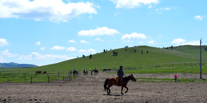 Horse riding 