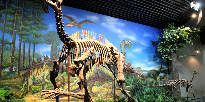  Inner Mongolia Museum