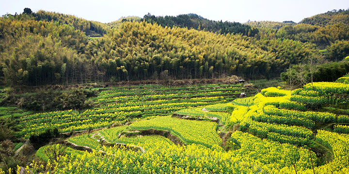 chengkan village