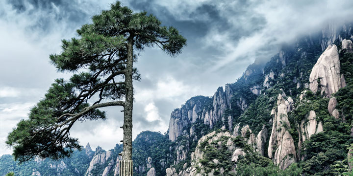 Mount Huangshan-plan a trip to China from Norway