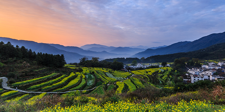Photography Tips for Rape Flowers in Wuyuan