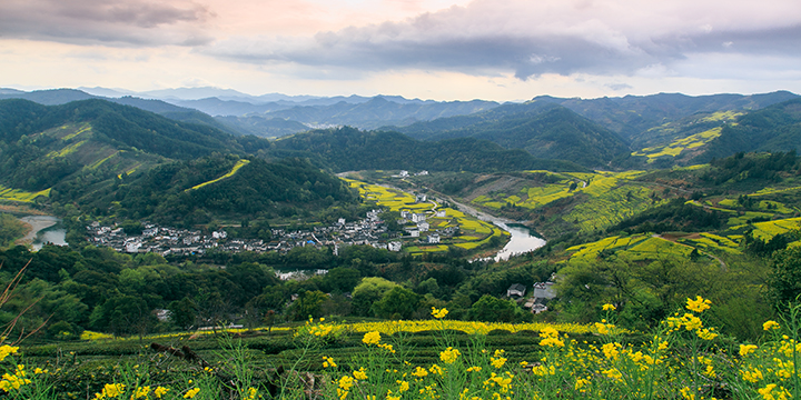 Photography Tips for Rape Flowers in Wuyuan