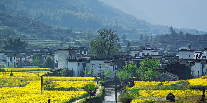 Wuyuan