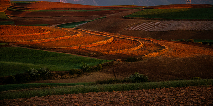 Photography Tips for Dongchuan Red Land