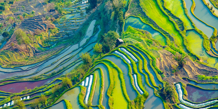 Yuanyang Hani Rice Terrace