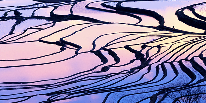 Photography Tips for Yuanyang Hani Rice Terraces