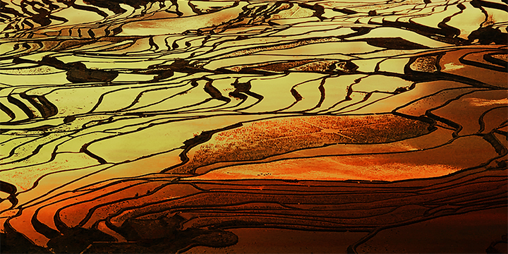 Photography Tips for Yuanyang Hani Rice Terraces