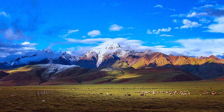 Yangpachen, Lhasa