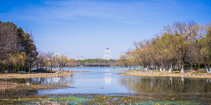 Shanghai Century Park