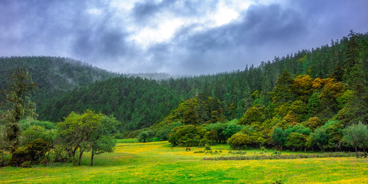 The best national parks in China