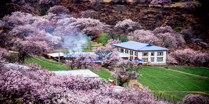 Peach Blossom Valley
