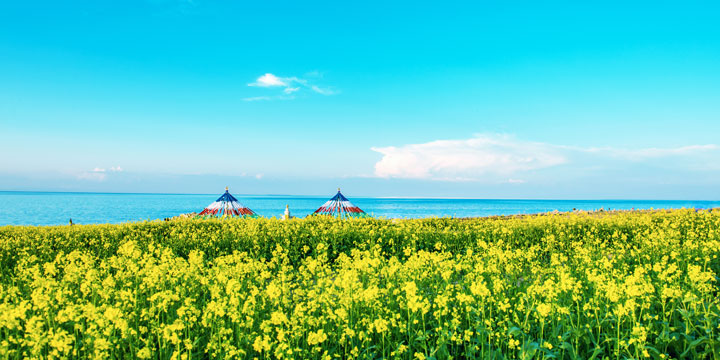 Qinghai Lake