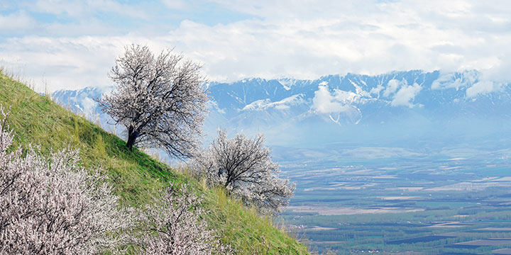 Kurdening Scenic Area