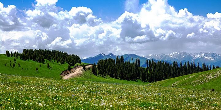 Kalajun Grassland