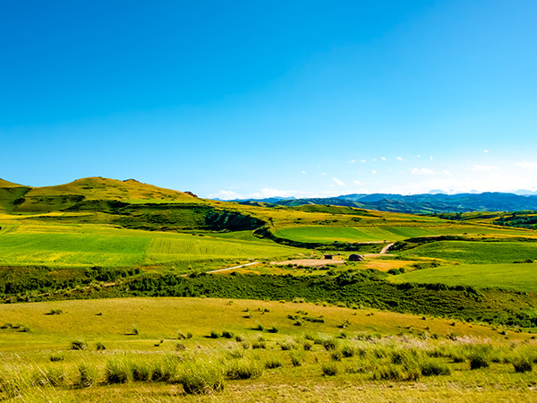 Bayanbulak Wetland