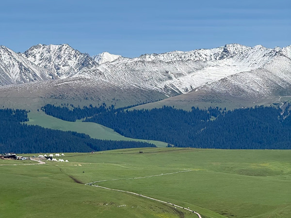 Kalajun Grassland
