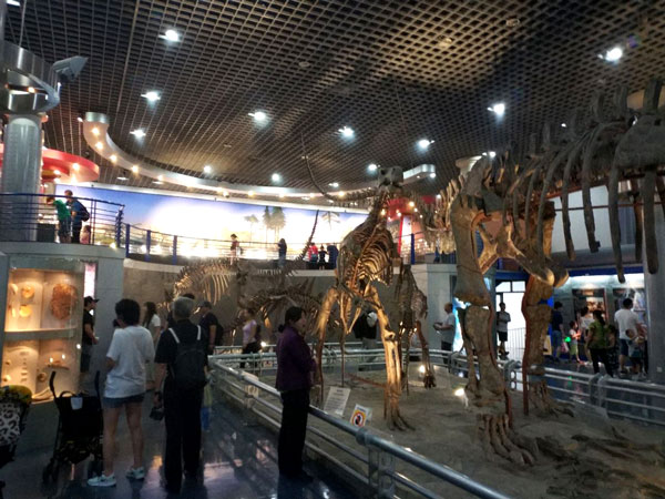 Beijing Museum of Natural History
