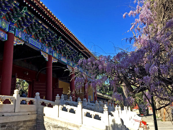 Beijing Temple of Confucius