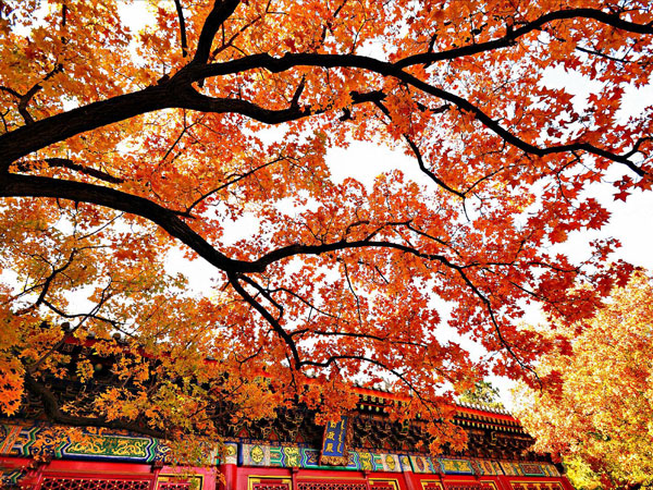 Fragrant Hills Park