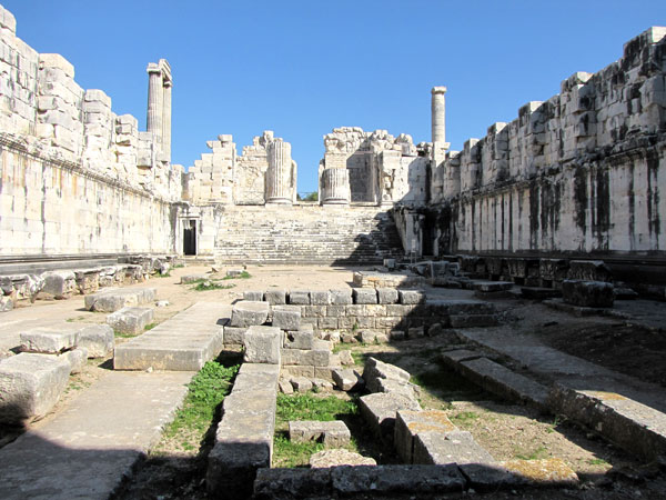 The Old Summer Palace