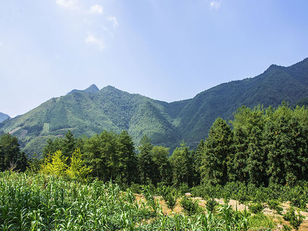 Nanling National Forest Park