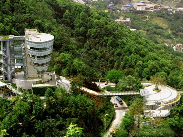A Tree Viewing Platform in Nanshan