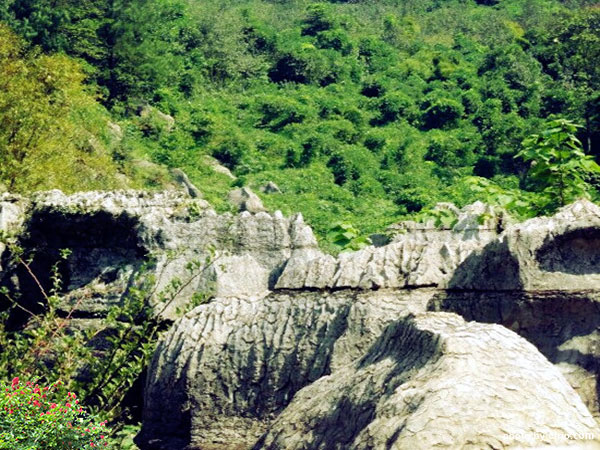 Wansheng Stone Forest