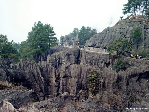Wansheng Stone Forest