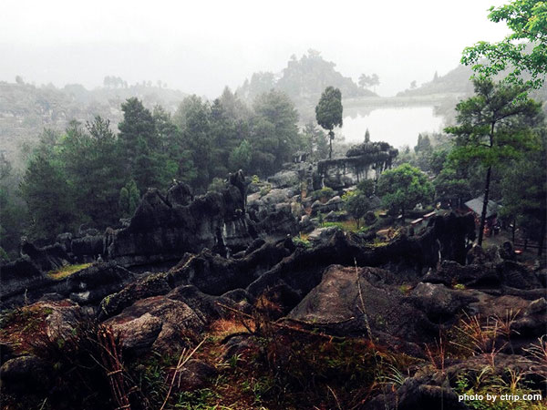 Wansheng Stone Forest