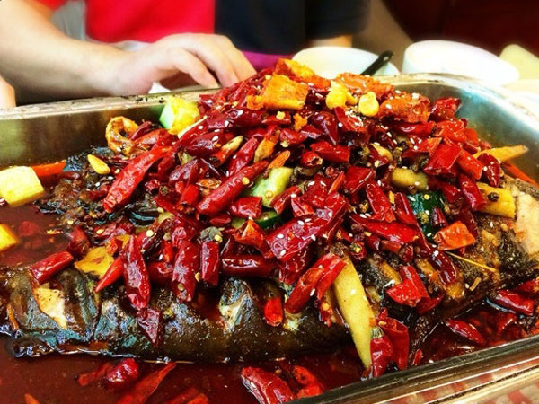 Zhuge Grilled Fish 