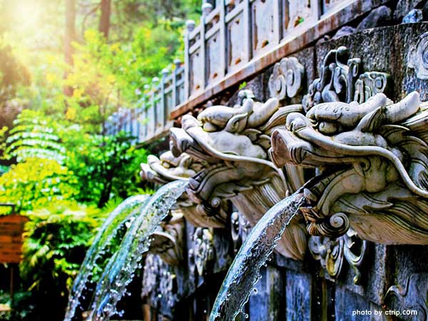 Butterfly Spring
