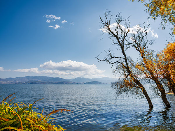 /pic/city/dali/attraction/Erhai-Lake-7.jpg