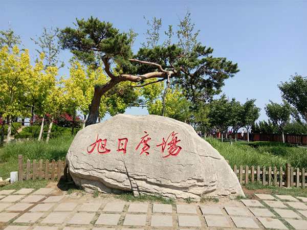 Train from Dalian to Beijing