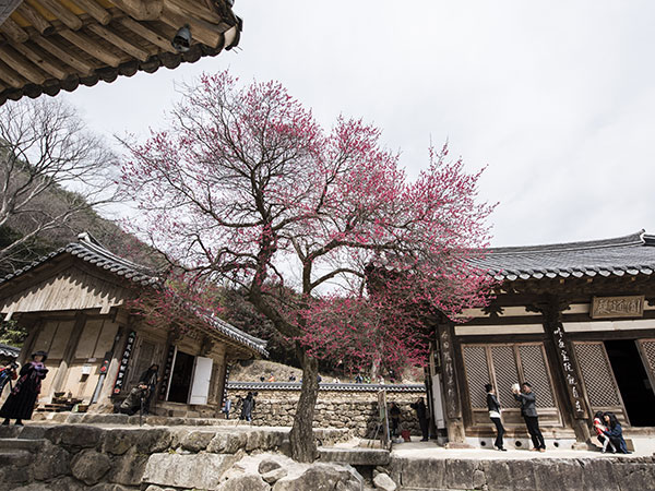 Huayan Monastery