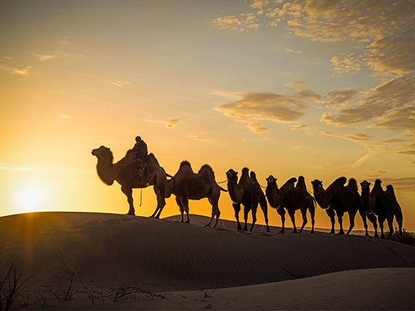 How to Plan a Trip to Ejina