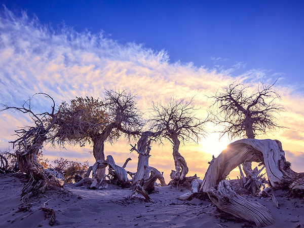 Best Places to Visit in Ejina