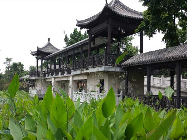 Sanshui Lotus Theme Park
