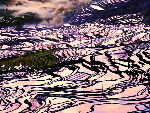Youxi Terrace