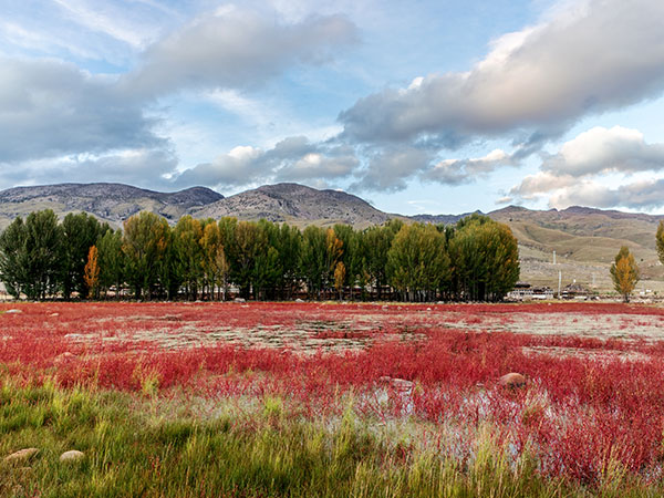 /pic/city/ganzi/Kangding-4.jpg