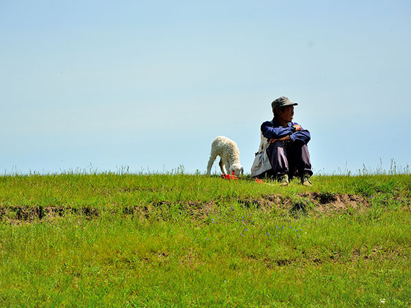 Highland Grassland in Western Sichuan