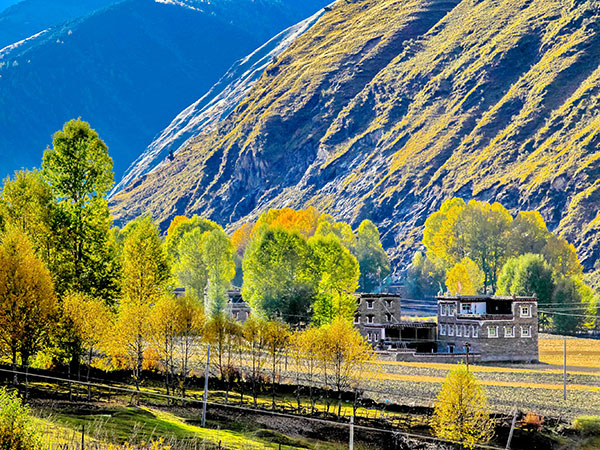 Xinduqiao Sichuan Xinduqiao Sichuan