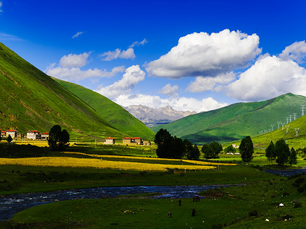Xinduqiao Town