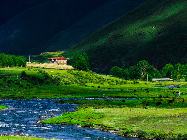 Xinduqiao Town