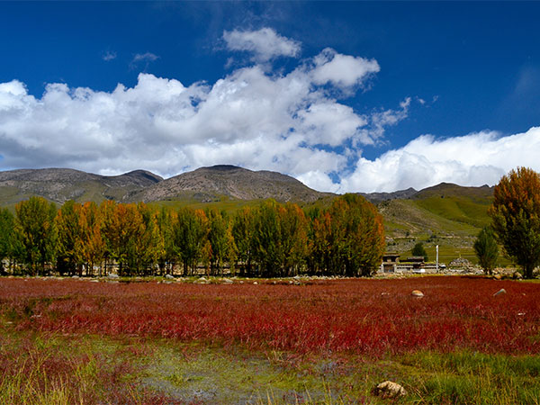 Xinduqiao Town