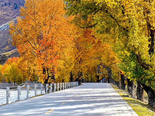 Xinduqiao in Western Sichuan