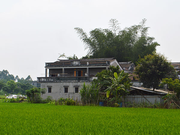 Kaiping Watchtowers (Diaolou) and Villages