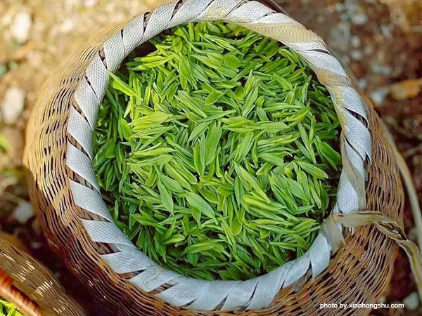 pick tea