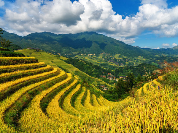 12 Days China Nature Discovery Tour