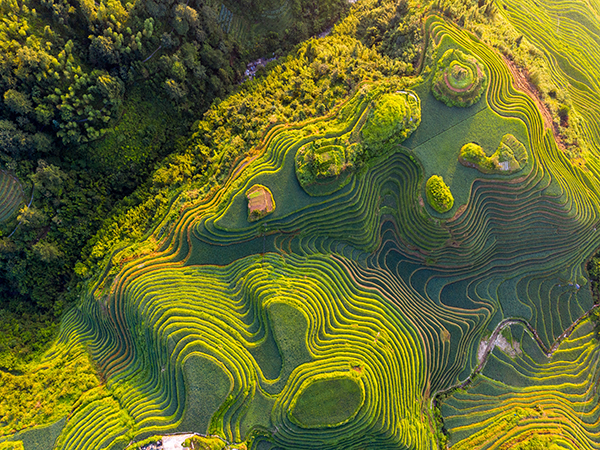 how to plan a day trip to Longji Rice Terraces from Guilin