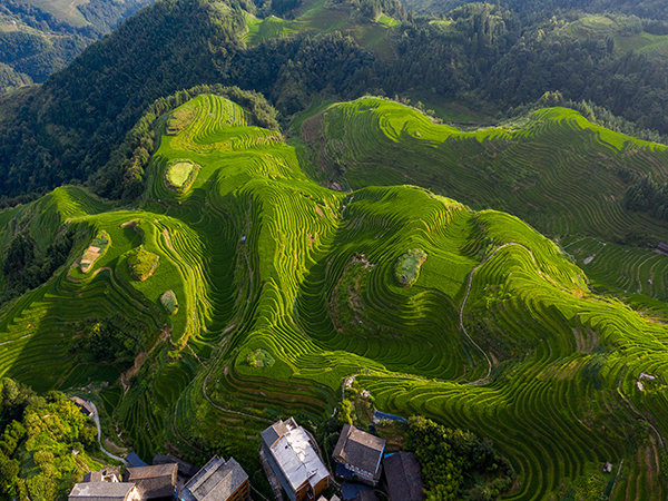 how to plan a day trip to Longji Rice Terraces from Guilin